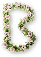 Bazilika vrtnice Garland Bloemstreng Pink