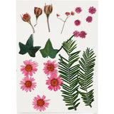 Creativ Company Trockenblumen und Blätter hellrot, 19 Stk.