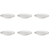 Mammutteller weiß flach 21 cm schmaler Rand Budgetline (6 Stück)