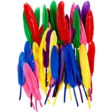 Creativ Company Federn, L: 13 cm, verschiedene Farben, 48 Stück 1 Box