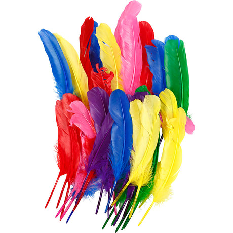 Creativ Company Federn, L: 20 cm, verschiedene Farben, 36 Stück 1 Box