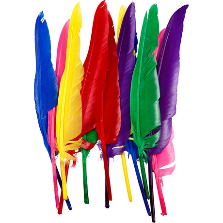 Creativ Company Federn, L: 27 cm, verschiedene Farben, 12 Stück 1 Box