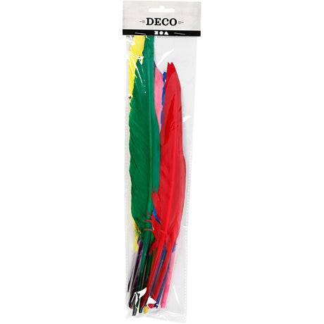 Creativ Company Federn, L: 27 cm, verschiedene Farben, 12 Stück 1 Box