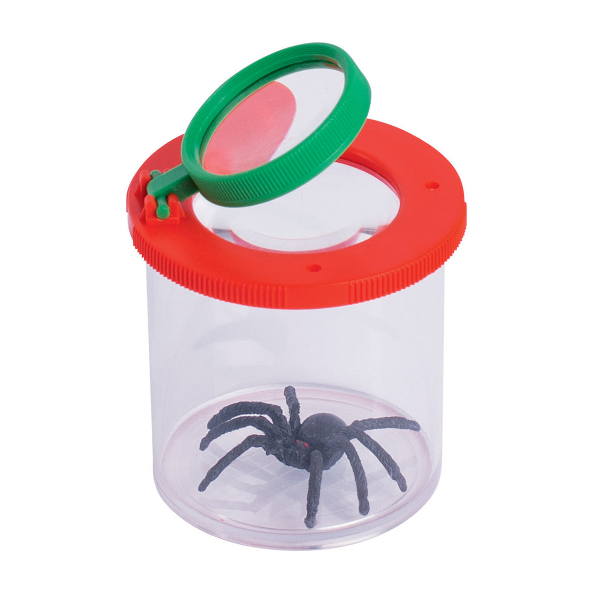 Goki Insect Jar con lupa