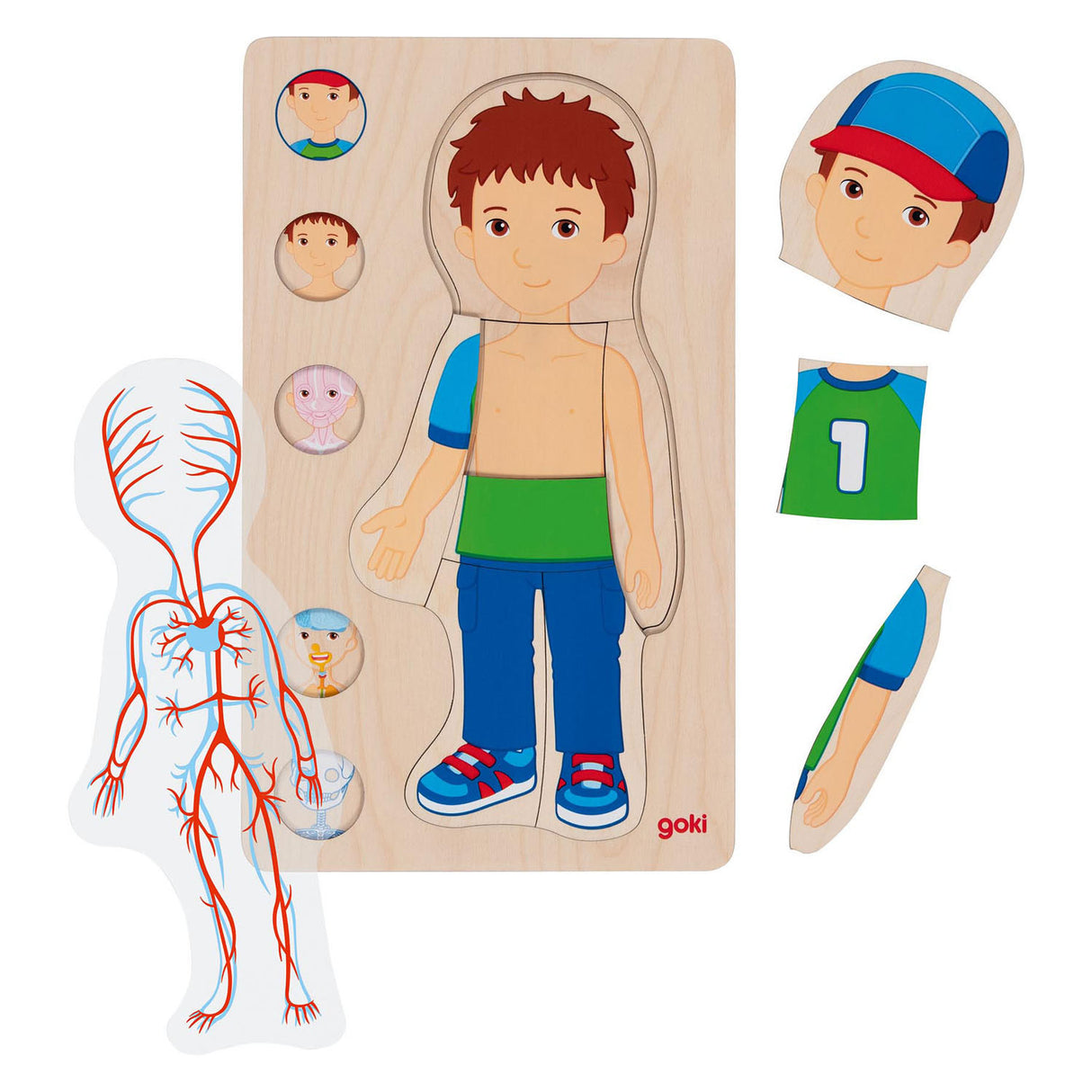 Goki Wood Layer Puzzle Human Body Boy, 29 ..