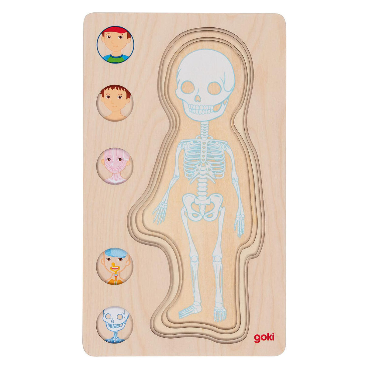 GOKI Drewniana warstwa Puzzle Human Body Boy, 29st.