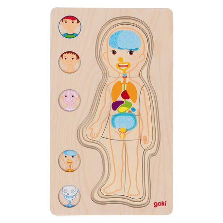 Goki Holzschicht Puzzle Human Körper Junge, 29.