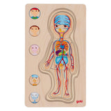 Goki Wood Layer Puzzle Human Body Boy, 29 ..