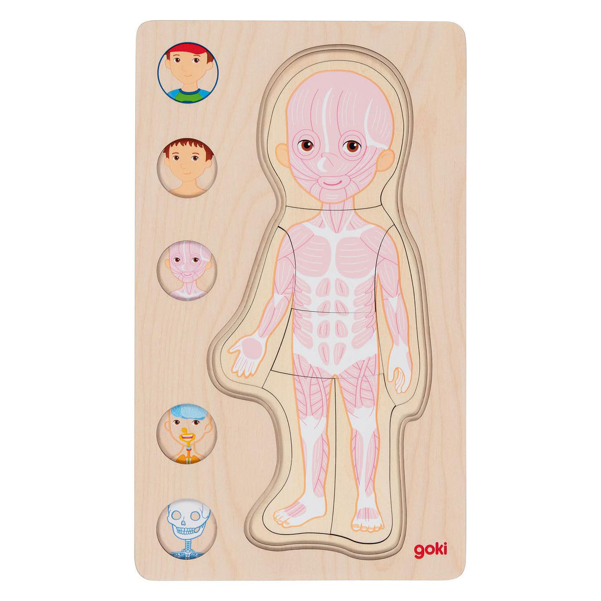 GOKI Drewniana warstwa Puzzle Human Body Boy, 29st.