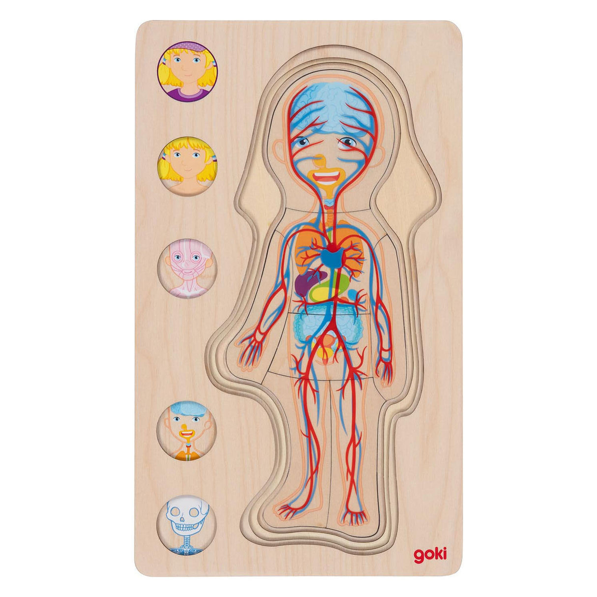 Goki wooden layer puzzle Human body girl, 29st.