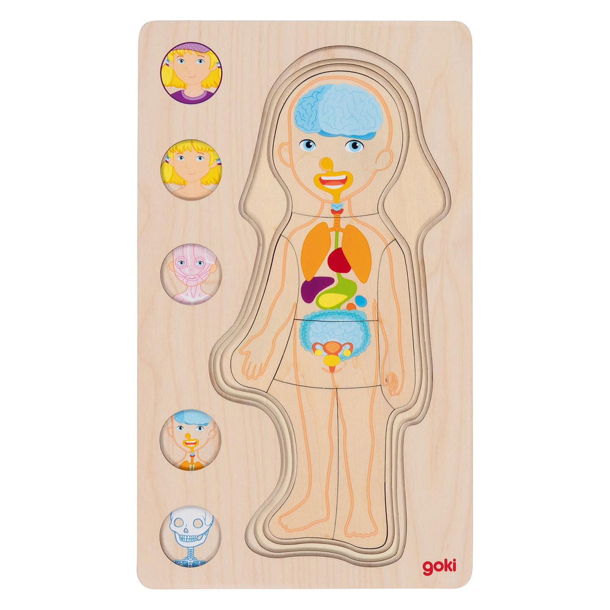 Goki wooden layer puzzle Human body girl, 29st.