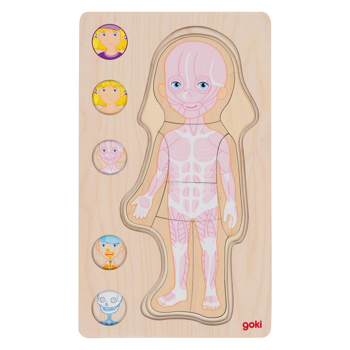 Goki wooden layer puzzle Human body girl, 29st.