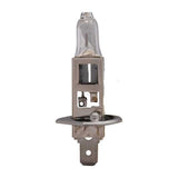 Glühbirne 12V-55W H1 Philips