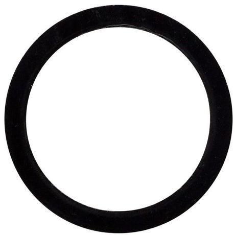 Nachdfaftfüllring ermittelt 30 x 24 x 1,0 mm - Kunststoff (20 Teile)