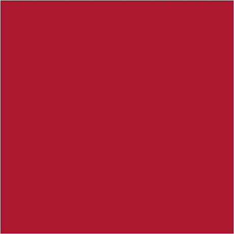 Creativ Firmenkarton, Blatt 50x70 cm, 270 gr, Weihnachtsrot, 100 Blatt 1 Karton