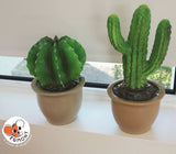 Egmont Lampenkaktus im Blumentopf 27x16,5