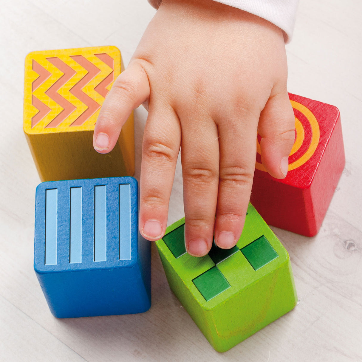 Eichhorn Feet and Sound Building Blocks