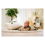 Eichhorn Baby Hipp Holzschiebefigur Esel