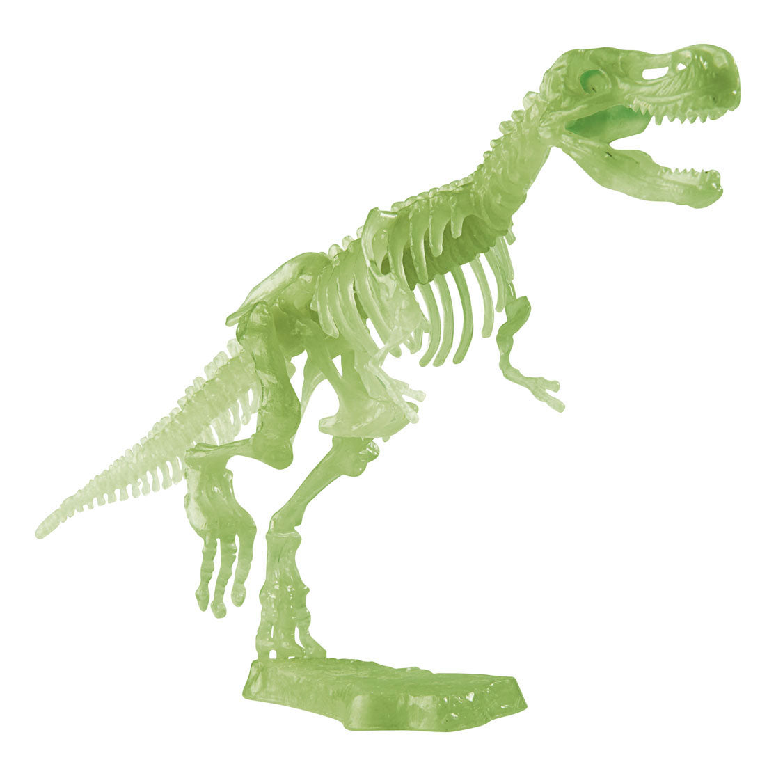 Leuchten Sie im dunklen T-Rex-Ausgrabungssatz