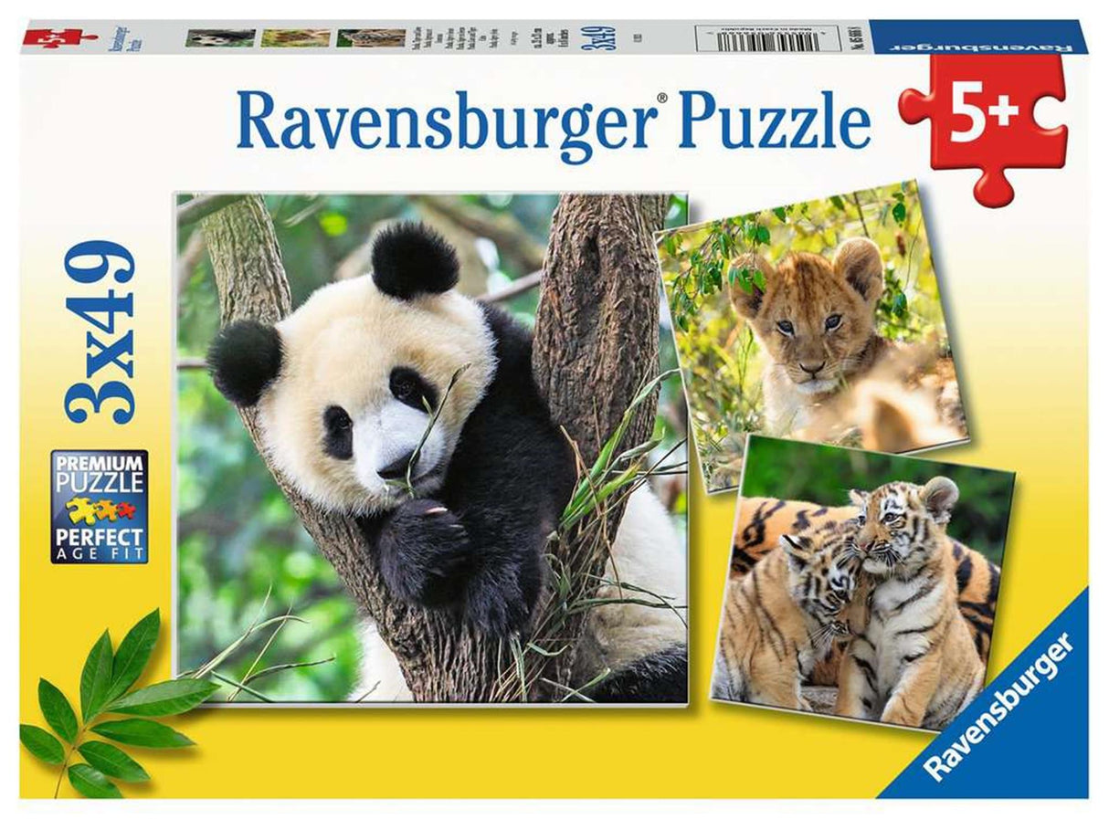 Ravensburger Puzzle Panda, Tiger und Löwe, 3x49tlg.