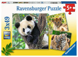 Ravensburger Puzzle Panda, Tiger und Löwe, 3x49tlg.