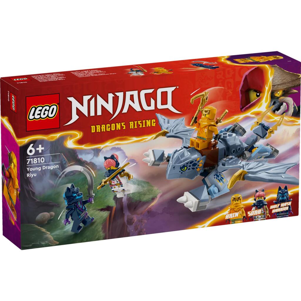 Lego Ninjago 71810 Mladi zmaj Riyu