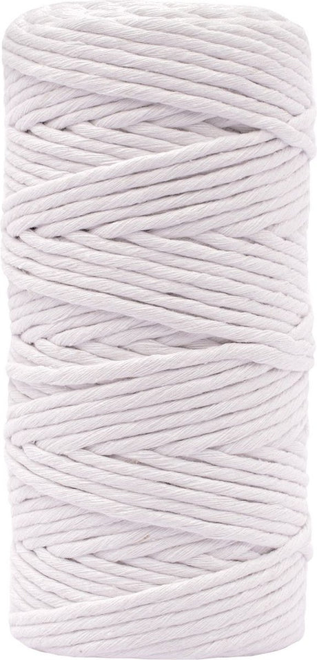 Vaessen creative macrame touw - wit - 3mmx100m