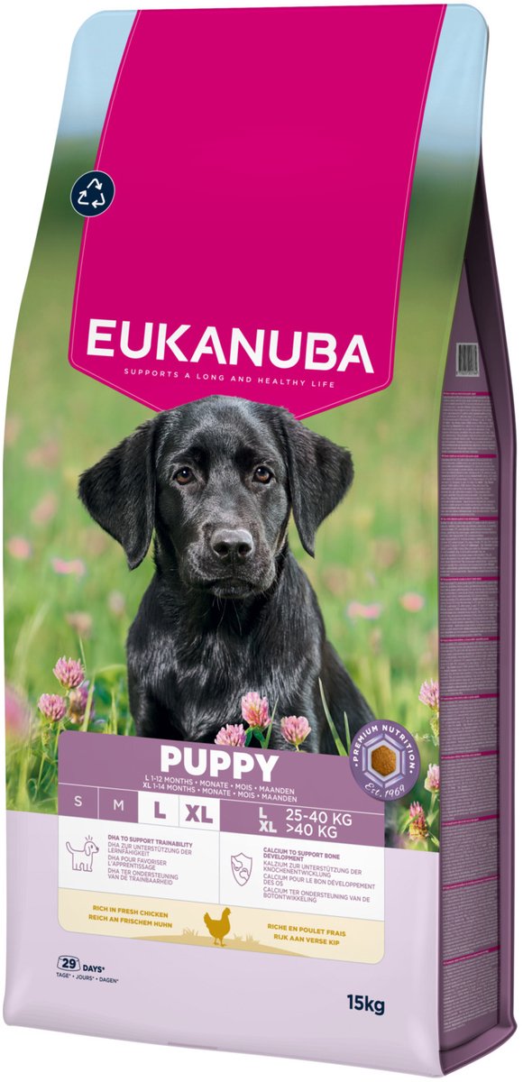 Eukanuba Welpe groß – Hundefutter – Kurkuma – hochwertiges Protein – große Rassen