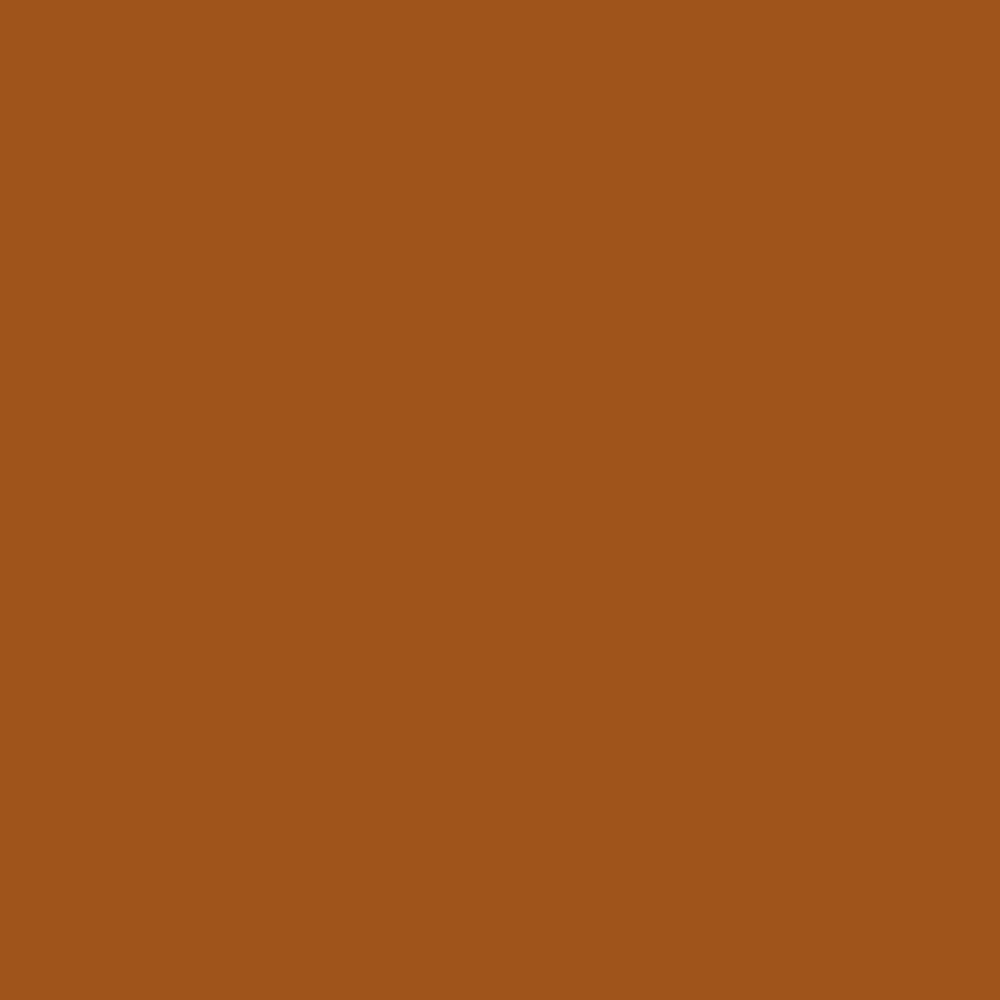 Hochwertiges Hintergrundpapier 48 Spice 1,35 x 11 m