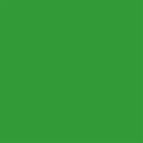 Hochwertiges Hintergrundpapier 54 Stinger Chroma Key 2,18 x 11 m