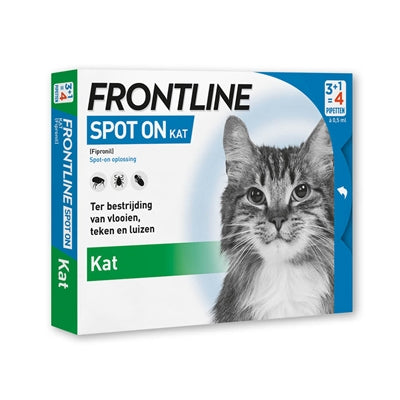 Frontline Kat Spot auf