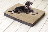 Sun Garden Buddy orthopädisches Hundekissen 72x50x8cm beige dunkelbraun