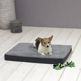 Sun Garden Buddy orthopädisches Hundekissen 72x50x8cm grau anthrazit