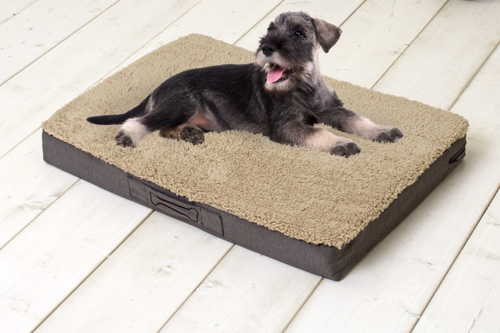 Sun Garden Buddy orthopädisches Hundekissen 79x60x8cm beige dunkelbraun