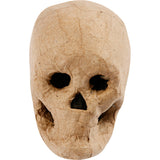 Https: www.cchobby.nl Skeleton-mask-h-10-cm-1-piece