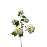 Roberts Collection Kunstblumen-Schneeball-Spray, 83 cm, Creme