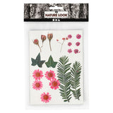Kreativunternehmen https: www.cchobby.nl dry-flowers-and-leaves-ca-19-piece-lightred-1-box