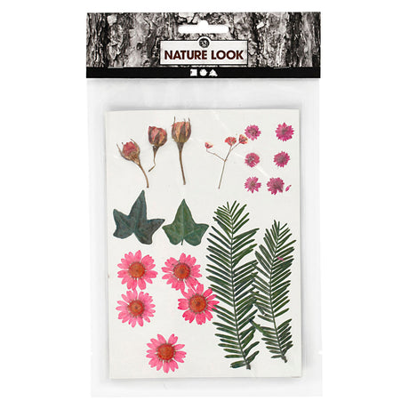 Kreativunternehmen https: www.cchobby.nl dry-flowers-and-leaves-ca-19-piece-lightred-1-box