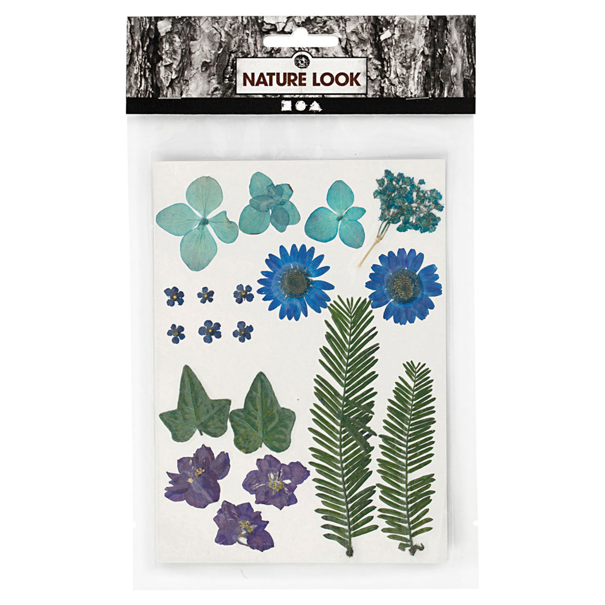 Creativ Company Trockenblumen und Blätter blau, 19 Stk.