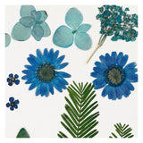 Creativ Company Trockenblumen und Blätter blau, 19 Stk.