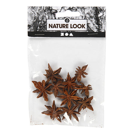 Kreativunternehmen https: www.cchobby.nl star-anise-10-piece-1-box
