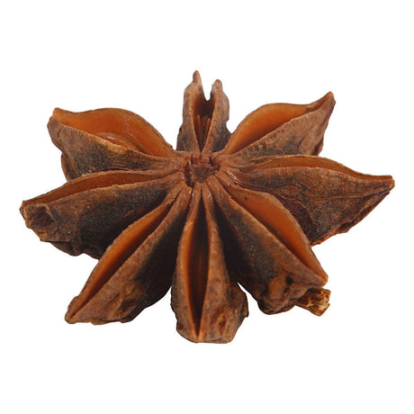 Kreativunternehmen https: www.cchobby.nl star-anise-10-piece-1-box
