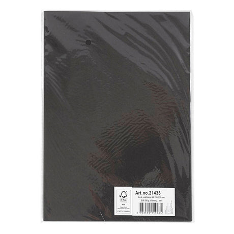Creativ Company CC-Karton A4 schwarz 220gr 10 Blatt
