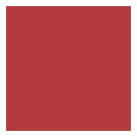 Creativ Company Cardboard Red A4 220g, 10st.