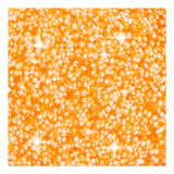 Kreativunternehmen https: www.cchobby.nl foam-clayr-glitter-orange-35-gr-1-doosje