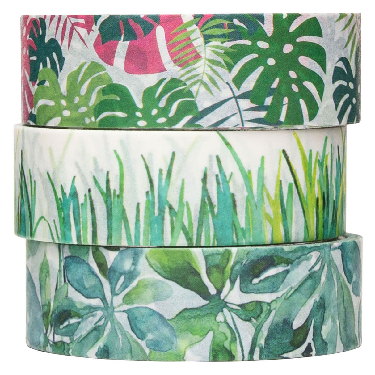 Colorations Washi Tape Plants 3 ruller, 5mtr.