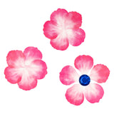 Färbungen - Washi -Aufkleber - Pink Blütenblätter, 80..