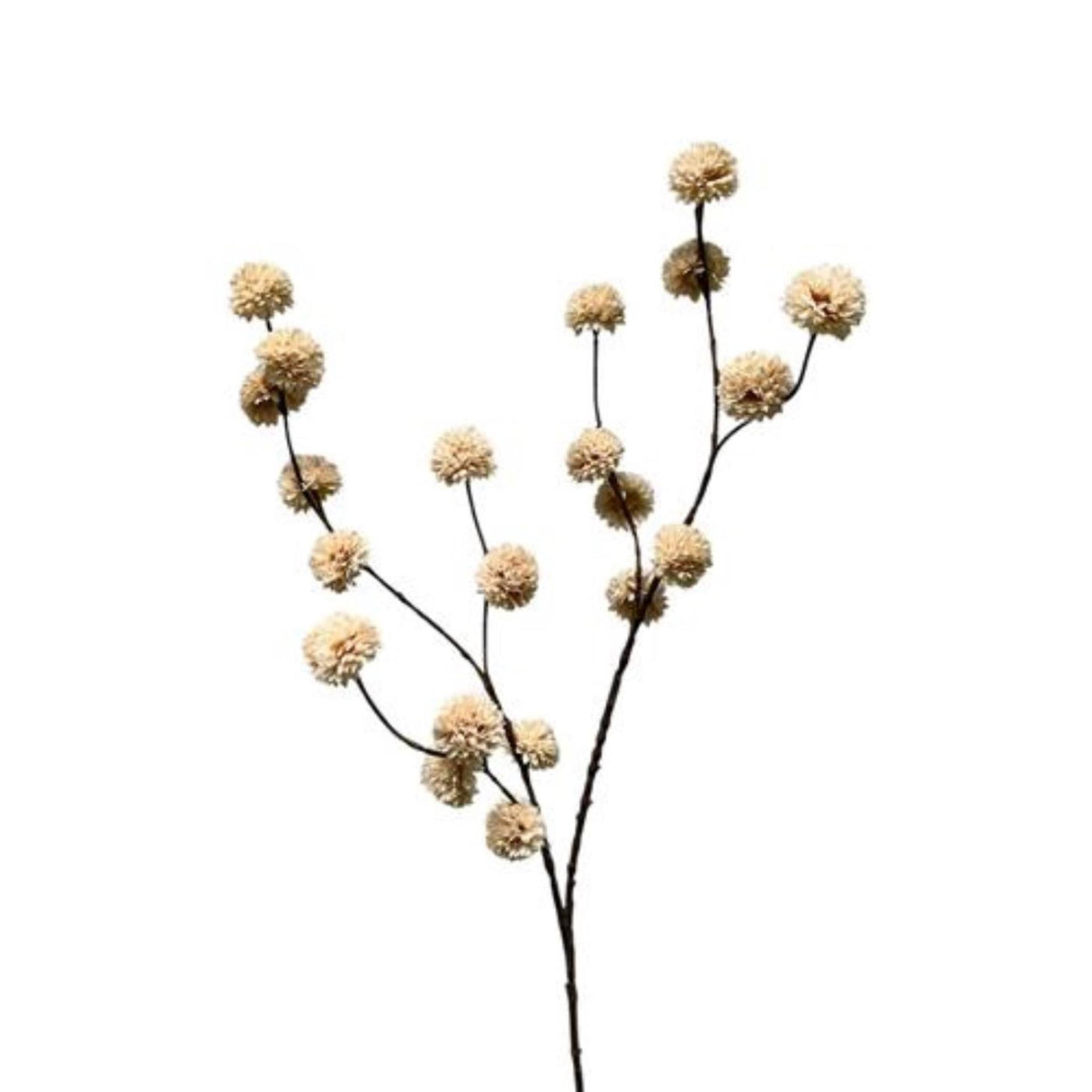 Roberts Collection Kunstzweig-Pompom, cremefarben, 100 cm