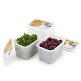 Rotho Gefrierdosen-Set 4-teilig 1l