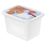 Rotho Gefrierdosen-Set 4-teilig 1l